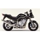 FZS1000 FASER